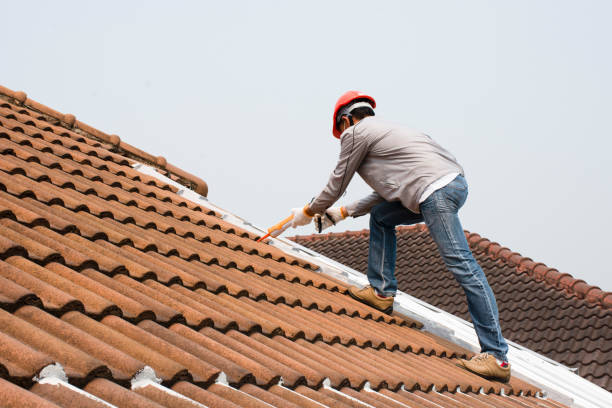 Best Roof Insulation Installation  in Dothan, AL